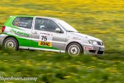 adac-hessen-rallye-vogelsberg-2014-rallyelive.com-2687.jpg